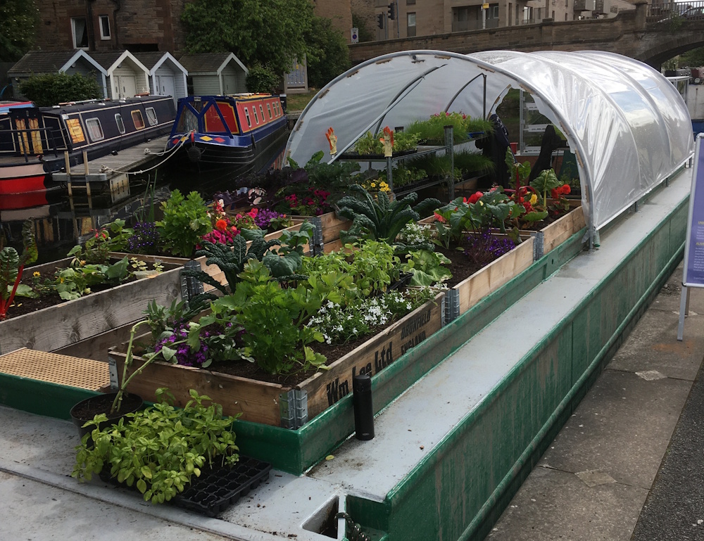 A barge with various vegetables growing on it moored on the canal