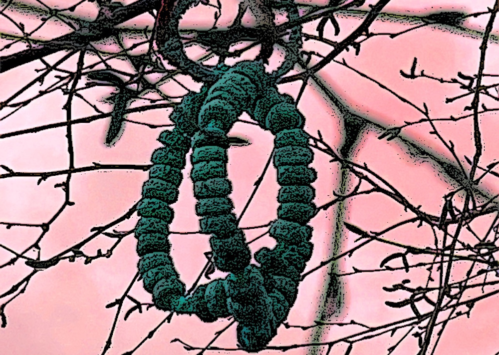 Some object hanging in a tree, looks like a bracelet