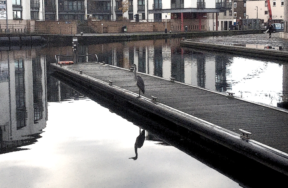 A heron on a mooring in a canal basin 