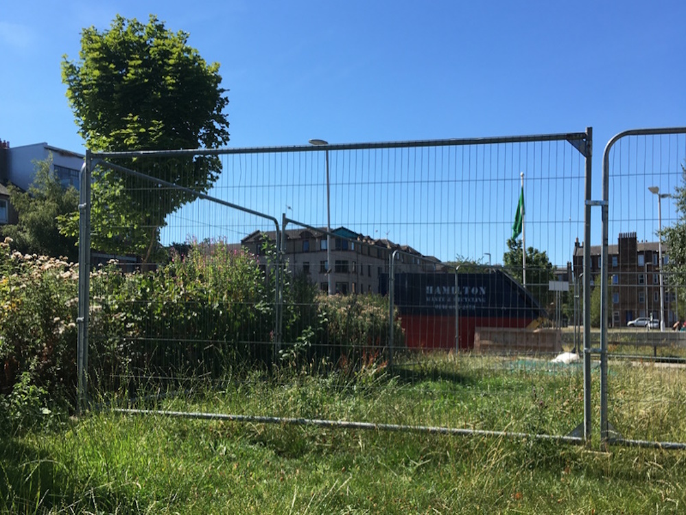 Overgrown grass lawn with fence and skip in the sun 