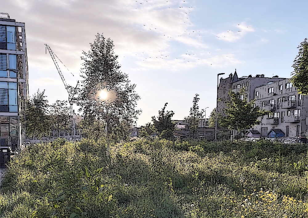 Playground at Boroughmuir with very overgrown lawn