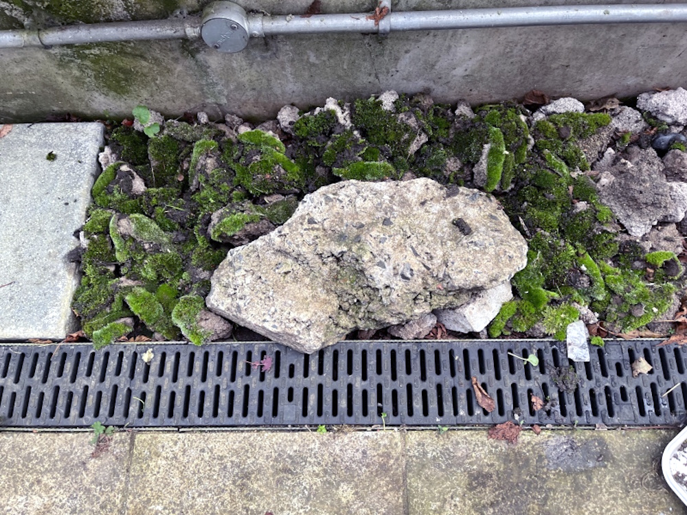 A mini moss garden: Moss packed around a small boulder 
