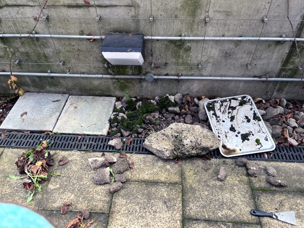 Planted moss with rocks and weeds