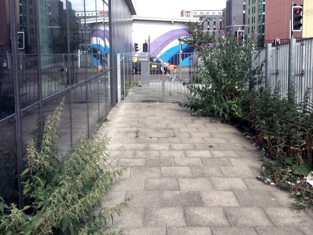 The north end of the solar overgrown with Nettles and covered in litter