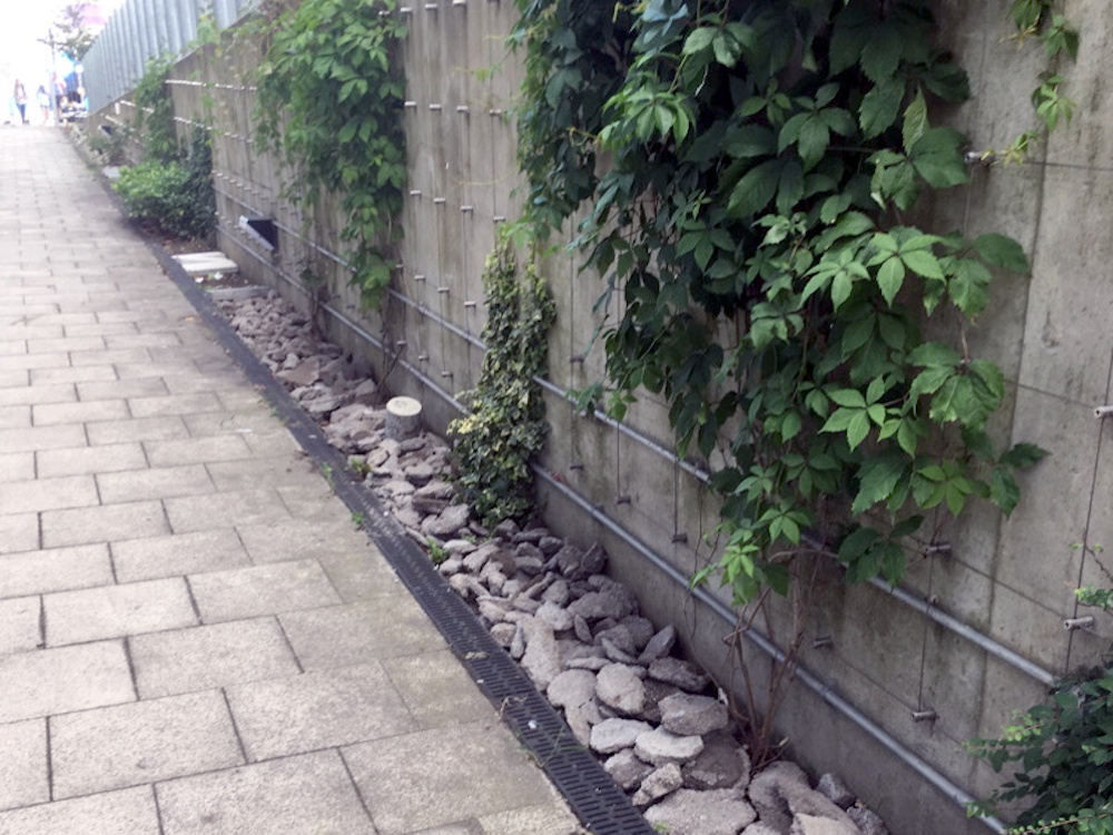 The north end of the solar with the original vegetation removed