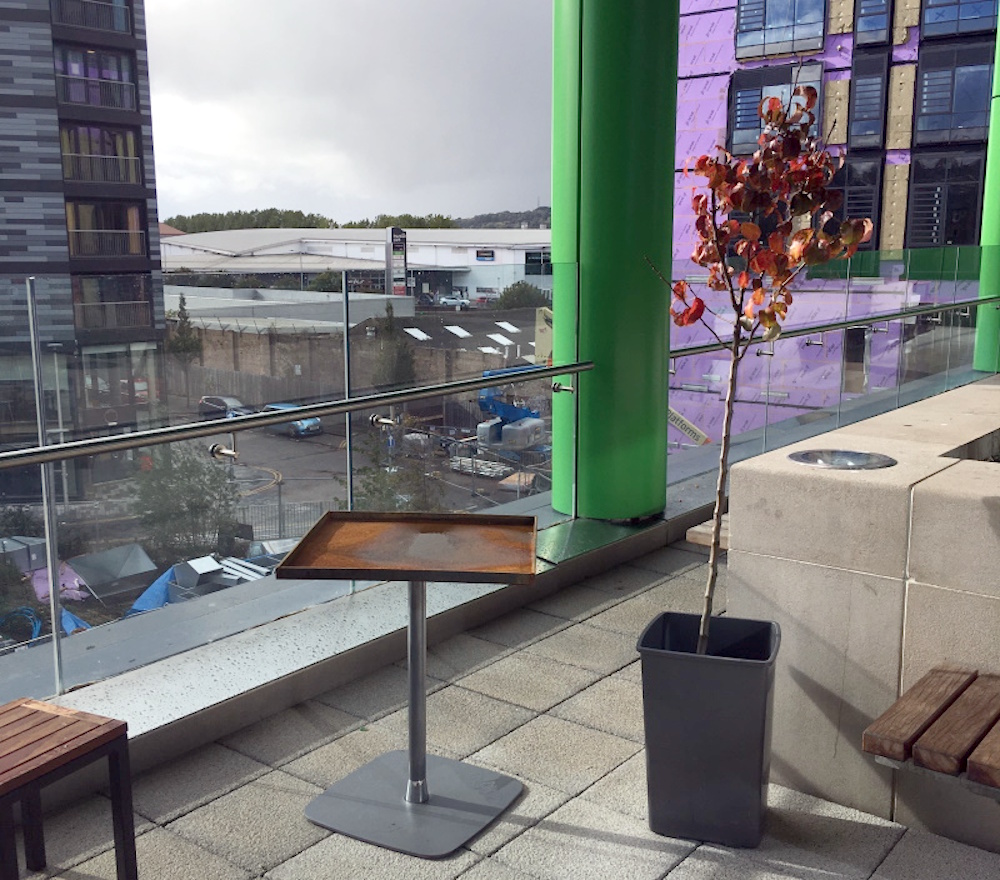A metal bird bath and a pear tree 