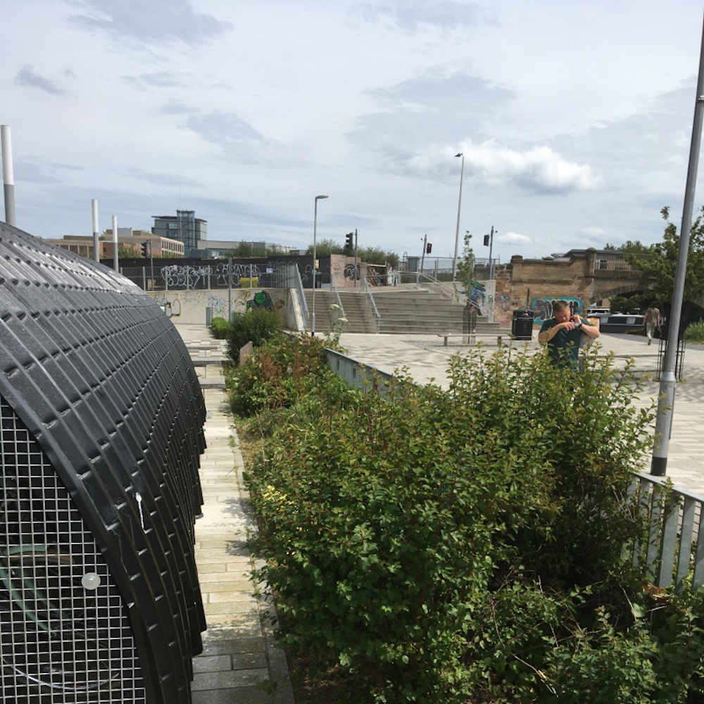 a border behind a bikeshed