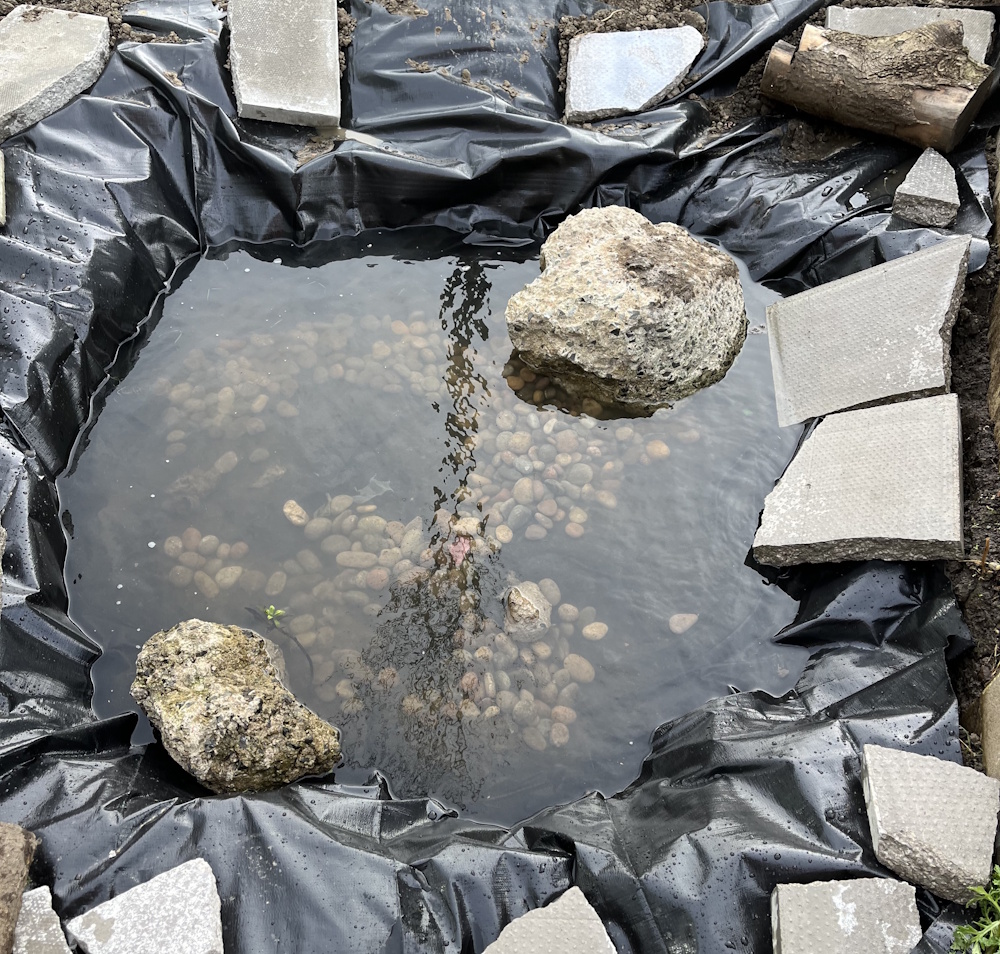 A newly built pond in a raised bed