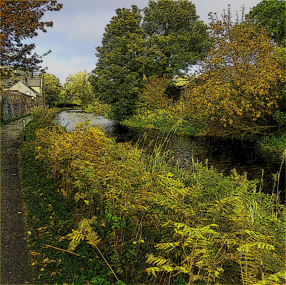 The union canal in autumn